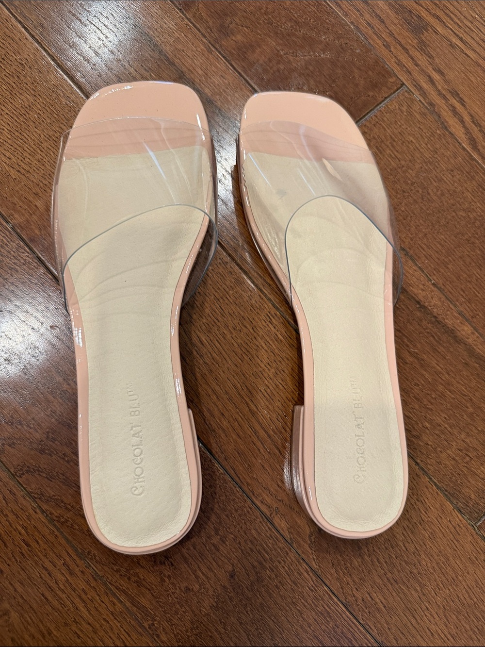 Never Worn brand new Clear Strap Slide Sandals in Nude Pink